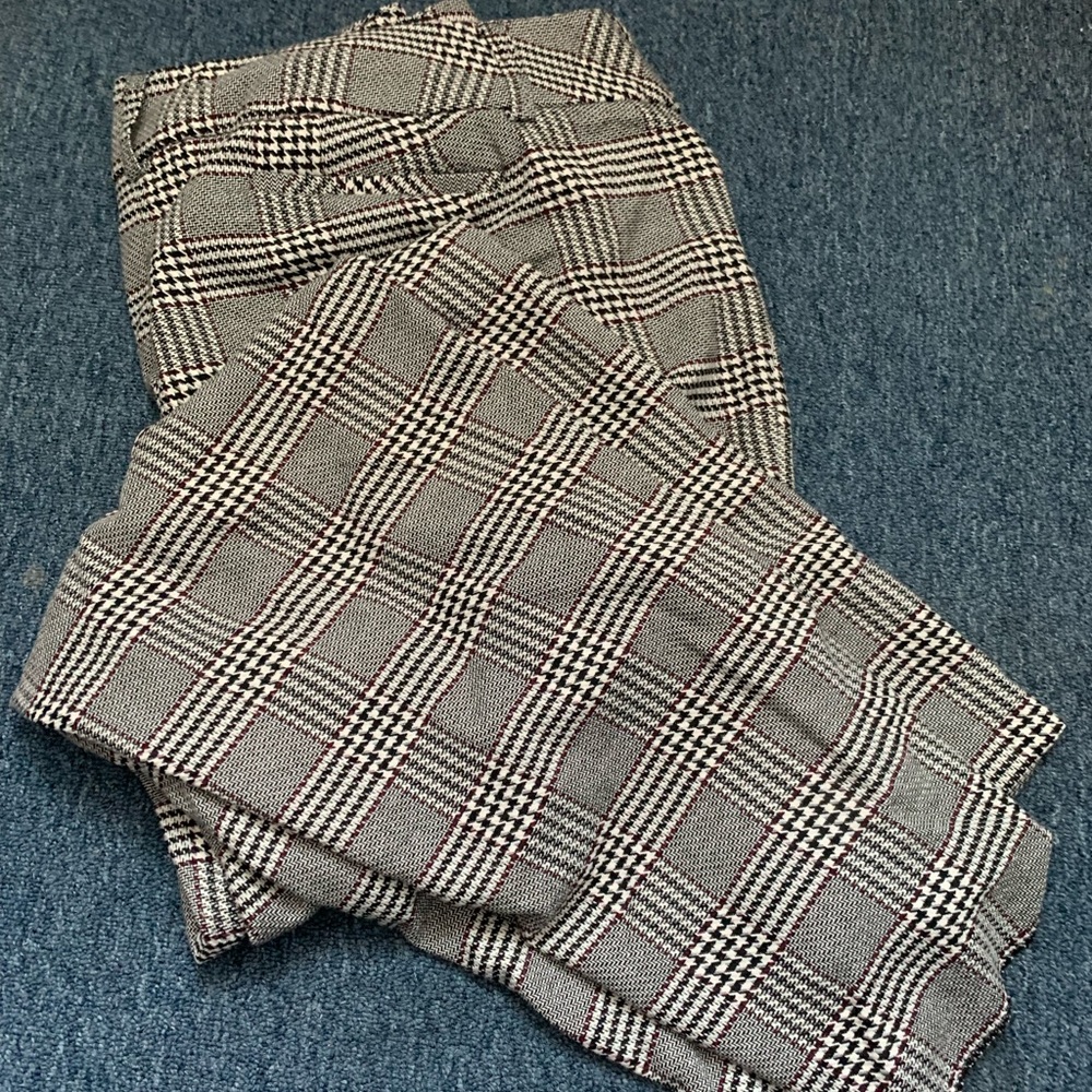 Catos plus size pants